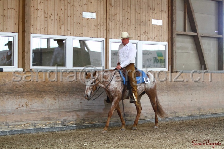 31-ApHC OWP_008.jpg